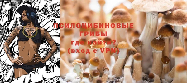 бошки Вязьма