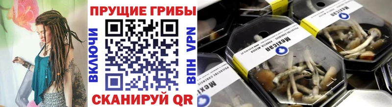 Купить  Катав-Ивановск  Псилоцибиновые грибы прущие грибы 
